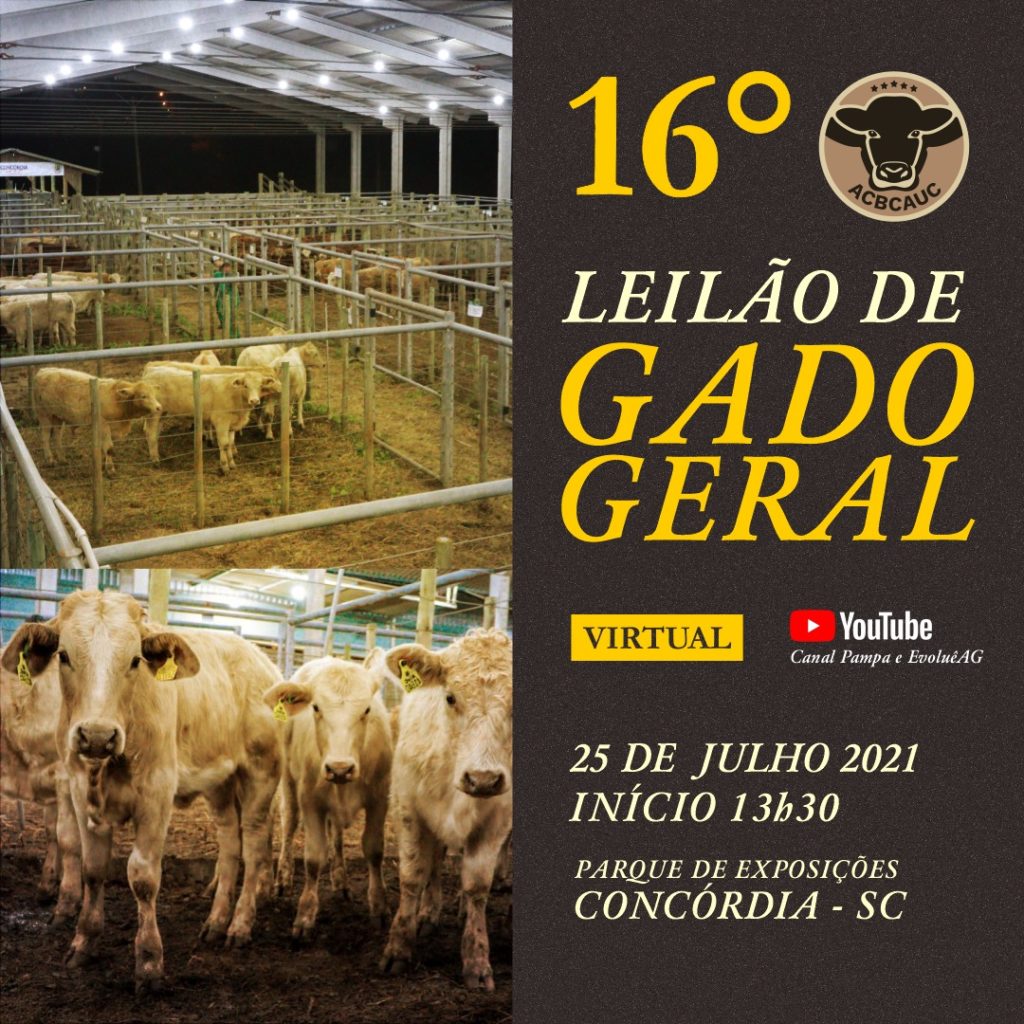 criadores de gado, gado de corte, marketing