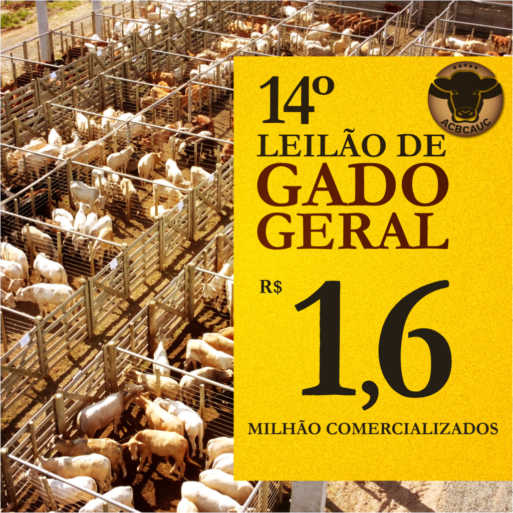 associação de criadores de gado, marketing digital, redes sociais