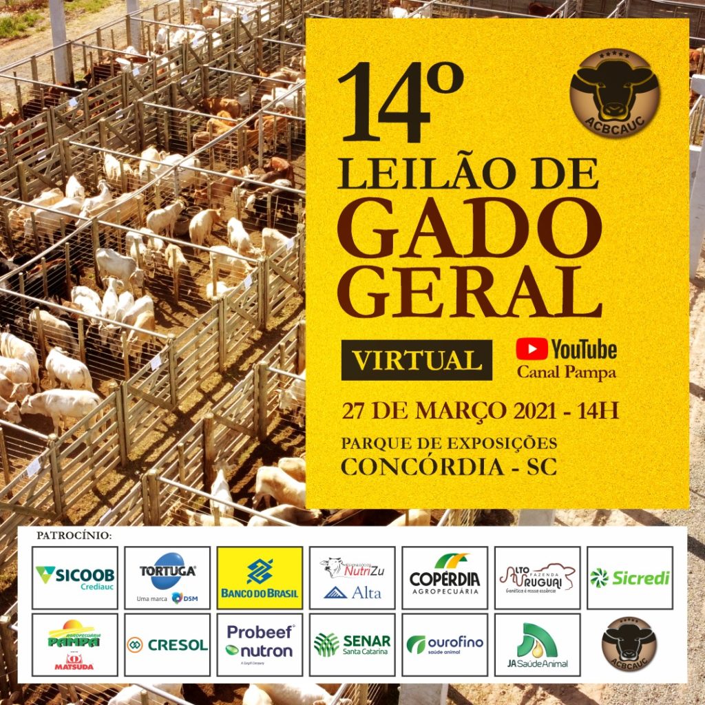 marketing digital, leilão, convite